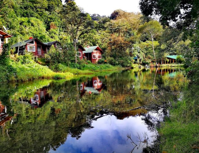 Sueños del Bosque Lodge Zona Sur Costa Rica