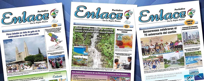 Periódico Enlace