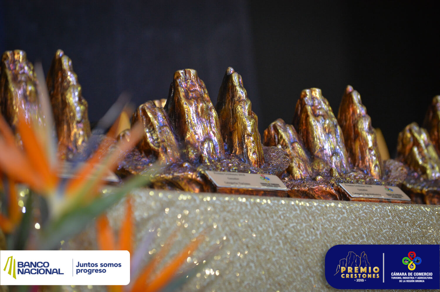 Entrega Premios Crestones 2018