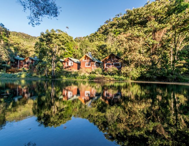 Sueños del Bosque Lodge Zona Sur Costa Rica
