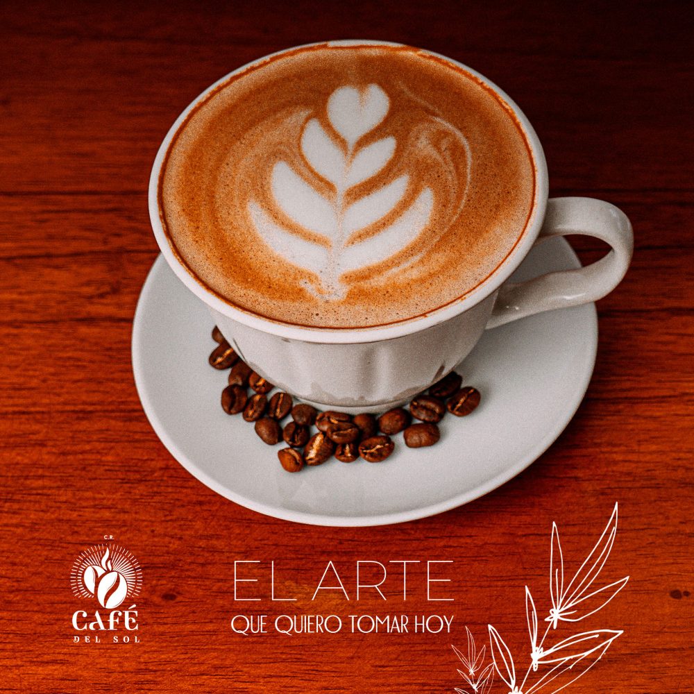 cafe del sol Cámara Brunca