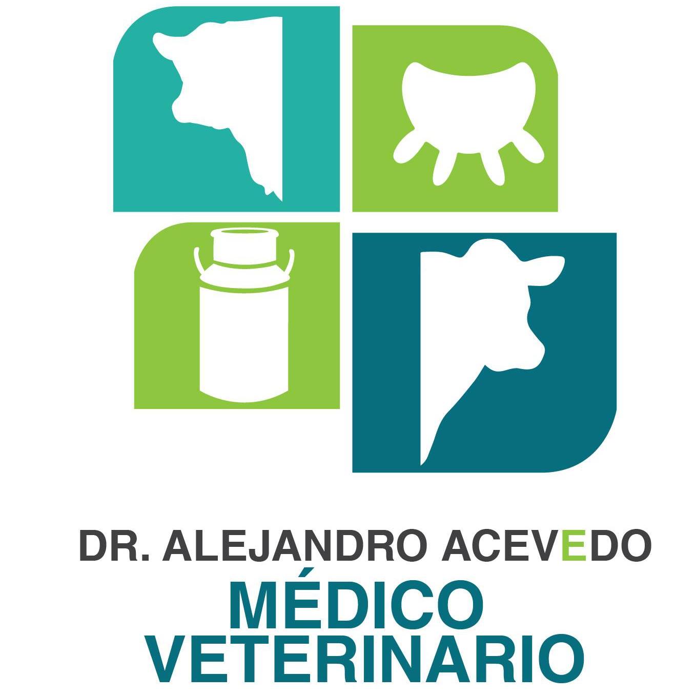 Veterinaria Dr. Alejandro Acevedo Gutiérrez Veterinario Zona Sur