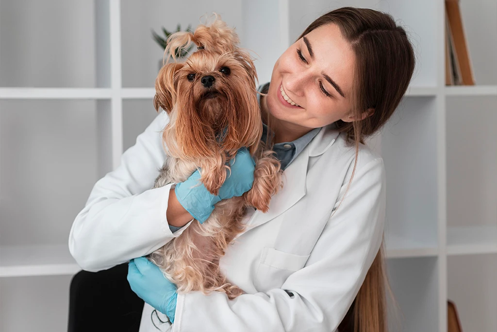 Veterinaria